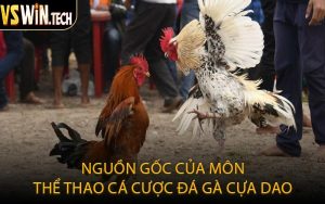 Nguồn Gốc Của Môn Thể Thao Cá Cược Đá Gà Cựa Dao