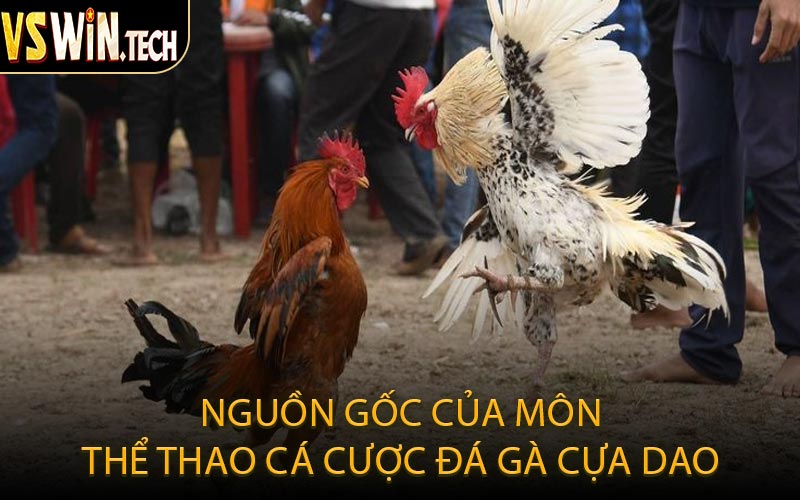 Nguồn Gốc Của Môn Thể Thao Cá Cược Đá Gà Cựa Dao